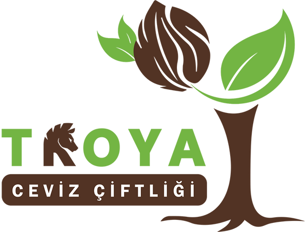 TROYA CEVIZ